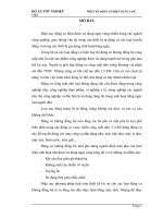 THIẾT KẾ ĐỘNG CƠ ĐIỆN DUNG LÀM