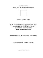 Xây dựng chiến lược kinh doanh cho lĩnh vực kinh doanh Gạo của công ty Angimex giai đoạn 2006-2010