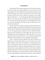 Kế toán tiêu thụ và kết quả tiêu thụ tại Công ty Trách nhiệm hữu hạn Nhà nước Một thành viên Kim loại màu Thái Nguyên