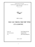 MÀU SẮC TRONG THƠ TRỮ TÌNH CỦA S.ESENIN