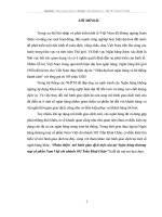 Hoàn thiện  mô hình giao dịch một cửa tại Ngân hàng thương mại cổ phần Nam Việt chi nhánh 302 Trần Khát Chân