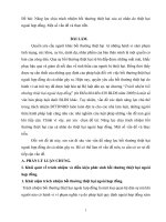 Năng lực chịu trách nhiệm bồi thường thiệt hại của cá nhân do thiệt hại ngoài hợp đồng. Một số vấn đề và thực tiễn
