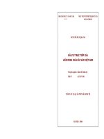 Đầu tư trực tiếp của Liên minh châu âu vào Việt nam