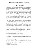 Hoạt động xuất nhập khẩu của Việt Nam trong những năm gần đây