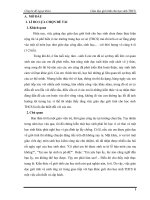 giáo dục giới tính và cách ứng xử trong giao tiếp với bạn khác giới cho học sinh THCS