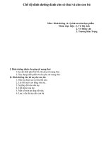 Chế độ dinh dưỡng dành cho có thai và cho con bú