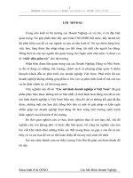 Các mô hình doanh nghiệp ở Việt Nam