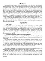 hội họa Ấn tượng