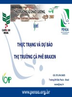thực trạng và dự báo thị trường cà phê Braxin