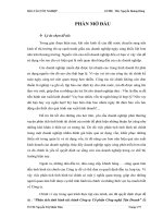 Phân tích tình hình tài chính Công ty Cổ phần Công nghệ Tân Doanh
