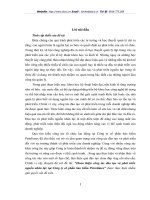 Hoàn thiện công tác đào tạo và phát triển nguồn nhân lực tại Công ty cổ phần bảo hiểm Petrolimex