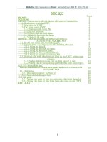 Các công cụ của chính sách tiền tệ ở Việt Nam - Thực trạng và giải pháp hoàn thiện