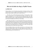 Báo cáo tài chính của công ty cổ phần Vincom