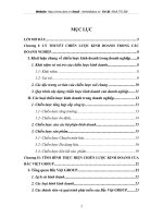 CHIẾN LƯỢC KINH DOANH CỦA BẮC VIỆT GROUP