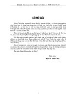 Tổng quan về viện chiến lược phát triển