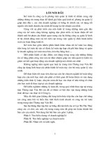 Tình hình kinh doanh và công tác kế toán trong trung tâm thương mại Vân Hồ