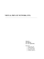 VIRTUAL PRIVATE NETWORK (VPN)