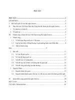 Việt Nam được và mất gì khi tham gia Hội nghị Geneva