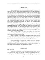 Xây dựng chương trình quảng cáo để phát triển dòng sản phẩm E-series của Nokia ở thị trường Việt Nam