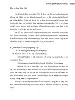 Câu bị động tiếng Việt