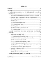 Các giải pháp nâng cao hiệu quả sản xuất kinh doanh của Công Ty Sông Mã sau khi cổ phần hóa