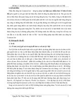 Sự khác biệt giữa vai trò của luật thành văn và án lệ ở Anh và ở Mỹ