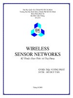 WIRELESS  SENSOR NETWORKS