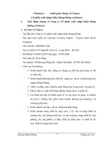 Hệ thống tổ chức và chức năng nhiệm vụ của Công ty xuất nhập khẩu Hàng không – Airimex