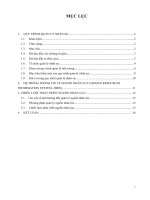 QUY TRÌNH QUẢN LÝ NHÂN SỰ VÀ CHIẾN LƯỢC PHÁT TRIỂN NGUỒN NHÂN LỰC