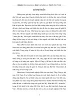 tình hình thực hiện doanh thu xuất khẩu hàng dệt may của công ty vào thị trường Mỹ