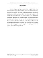 Một số giải pháp chiến lược Marketing đối với công ty Abacus Việt Nam