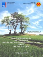 Khuôn khổ Hỗ trợ Phát triển  của Liên Hợp Quốc dành cho nước Cộng hòa Xã hội Chủ nghĩa Việt Nam (UNDAF)