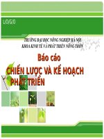 Kế hoạch phát triển phong trào thể thao quần chúng thành phố Đà Nẵng