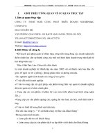 Tổng quan về công ty TNHH người cùng phát triển doanh nghiệp