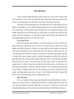 Tình hình kinh doanh nhập khẩu tại công ty trách nhiệm hữu hạn thương mại và dịch vụ Kim đại hải