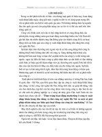 Thực trạng hoạt động marketing ở công ty xuất nhập khẩu hàng tiêu dùng và thủ công mỹ nghệ Hà Nội và một số giải pháp nhằm nâng cao hiệu quả hoạt động của công tác marketing