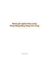 đánh giá nghèo theo vùng đồng bằng sông Cửu Long