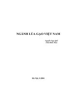 NGÀNH LÚA GẠO VIỆT NAM