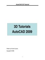 3D AutoCAD 2009