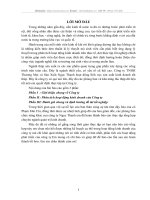 PHÂN TÍCH HOẠT ĐỘNG KINH DOANH  CỦA CÔNG TY TNHH THƯƠNG MẠI VÀ SẢN XUẤT NGỌC THANH