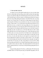 Diện và hàng thừa kế theo pháp luật dân sự Việt Nam