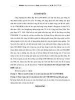 Vai trò của nhà nước đối với quá trình CNH-HĐH ở nước ta