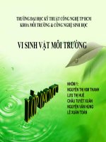 VI SINH VẬT MÔI TRƯỜNG