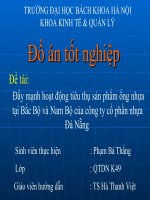 Đẩy mạnh hoạt động tiêu thụ sản phẩm ống nhựa tại Bắc Bộ và Nam Bộ của công ty cổ phần nhựa Đà Nẵng