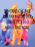 động vật thực vật