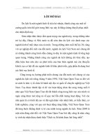 phát triển mối quan hệ giữa Việt Nam Open Tour với các doanh nghiệp khác