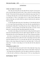 hoàn thiện về tổ chức và hoạt động của Uỷ ban nhân dân cấp tỉnh