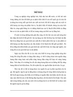 Thiết Kế Bộ Nguồn Nạp Ắc Qui Tự Động