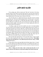 Hoàn thiện hạch toán tiêu thụ và xác định kết quả tiêu thụ hàng hóa ở Công ty TNHH thương mại Vạn An