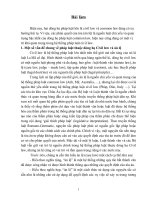 Một số vấn đề chung về án lệ trong các hệ thống pháp luật thuộc dòng học civil law